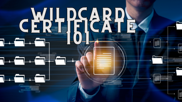 wildcard certificate 101 (3)